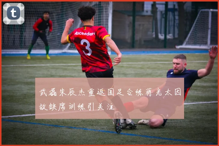 武磊朱辰杰重返国足合练蒋光太因故缺席训练引关注